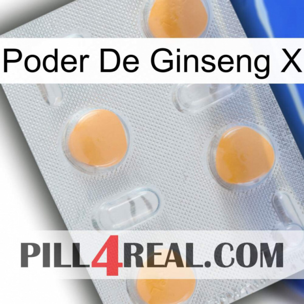 Ginseng Power X 24.jpg